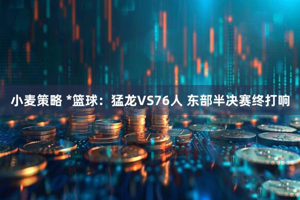 小麦策略 *篮球：猛龙VS76人 东部半决赛终打响