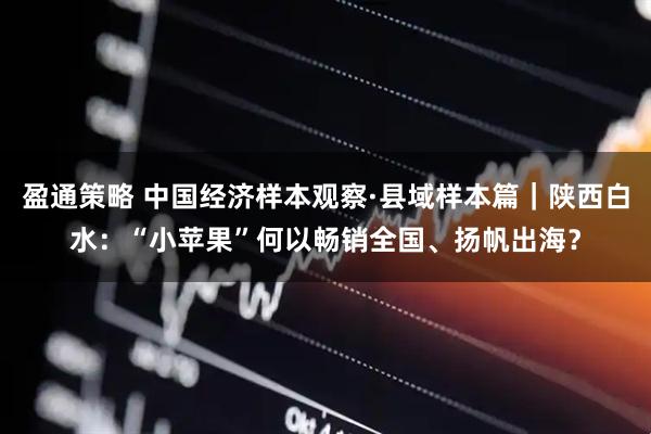 盈通策略 中国经济样本观察·县域样本篇｜陕西白水：“小苹果”何以畅销全国、扬帆出海？